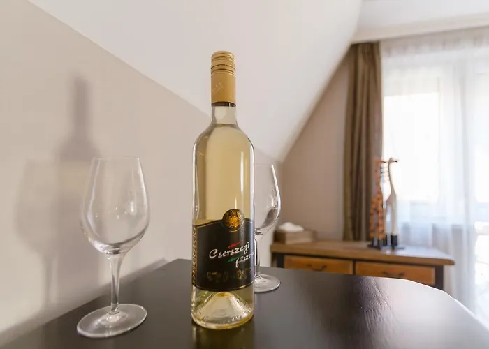 게스트하우스 Aurora Vendeghaz 4*