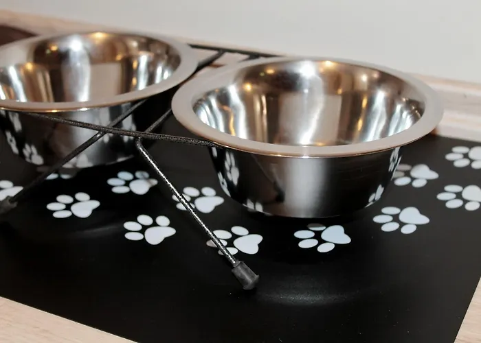 게스트하우스 Aurora Vendeghaz Hévíz